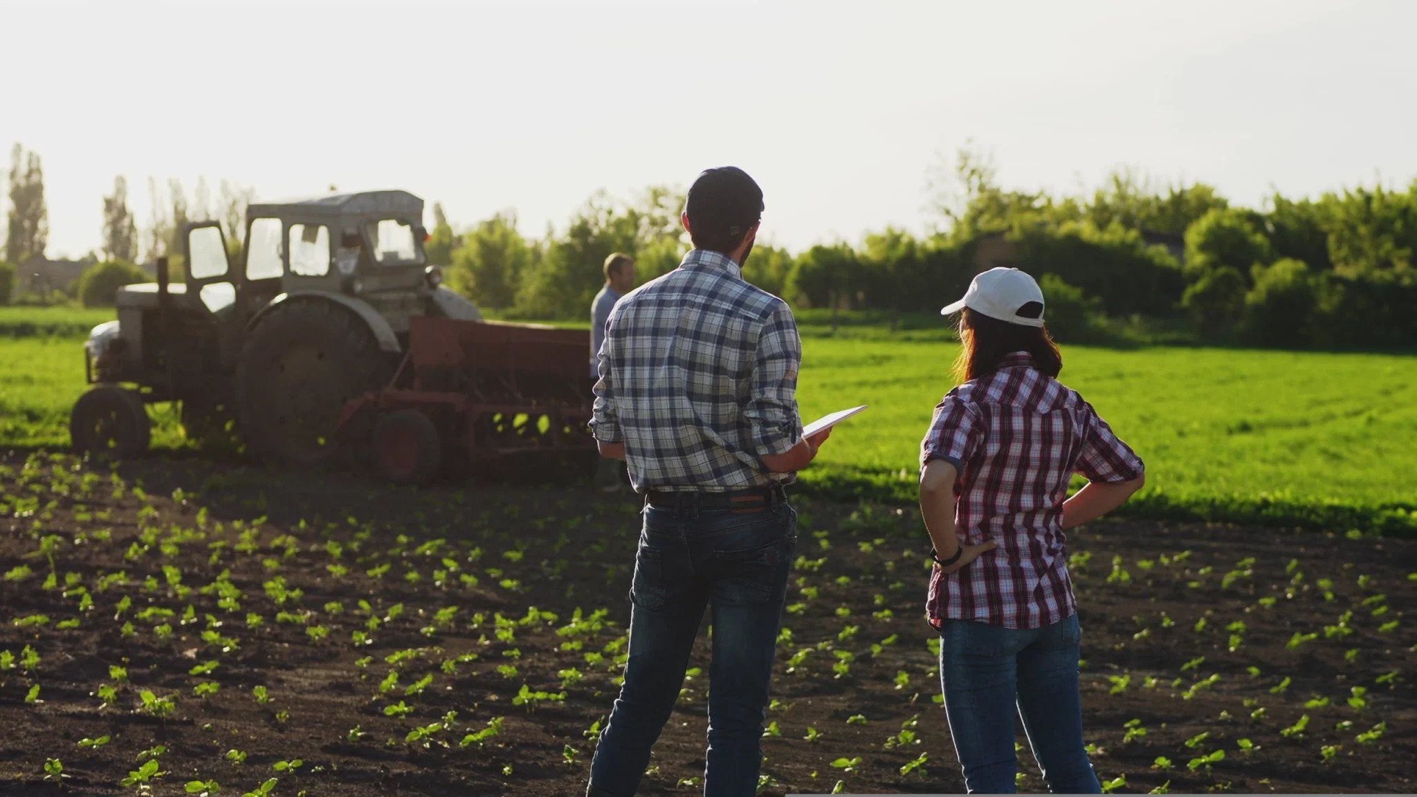 Agriculture Financing