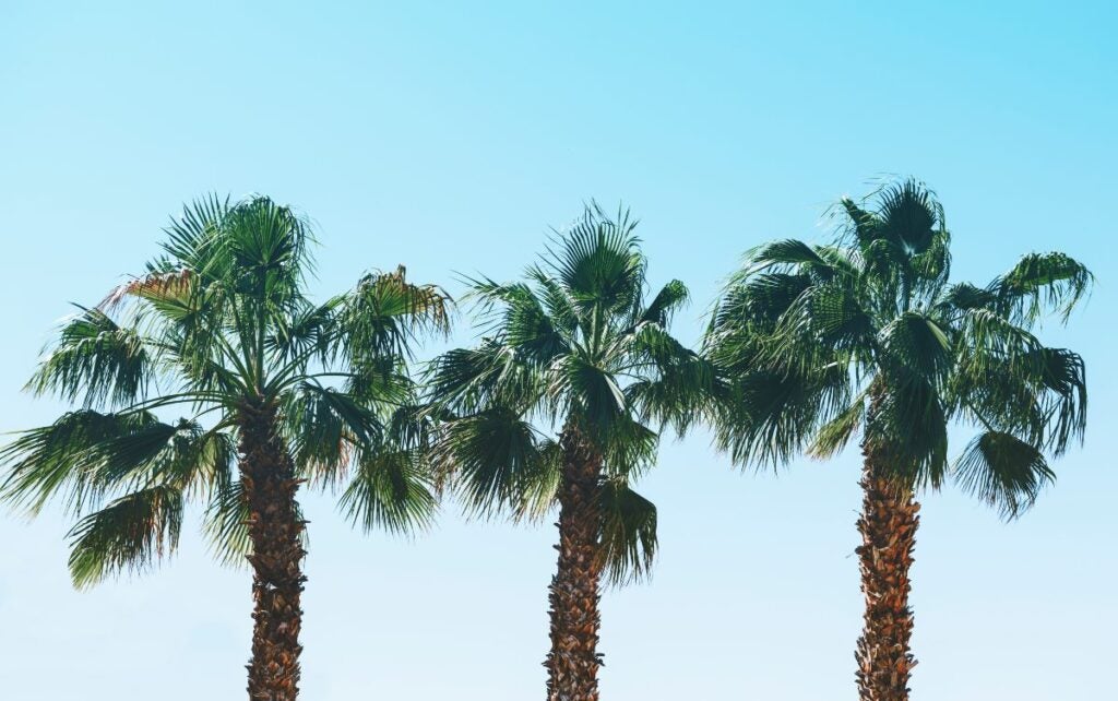 Fast Funding Lenders $2 million business loan in california